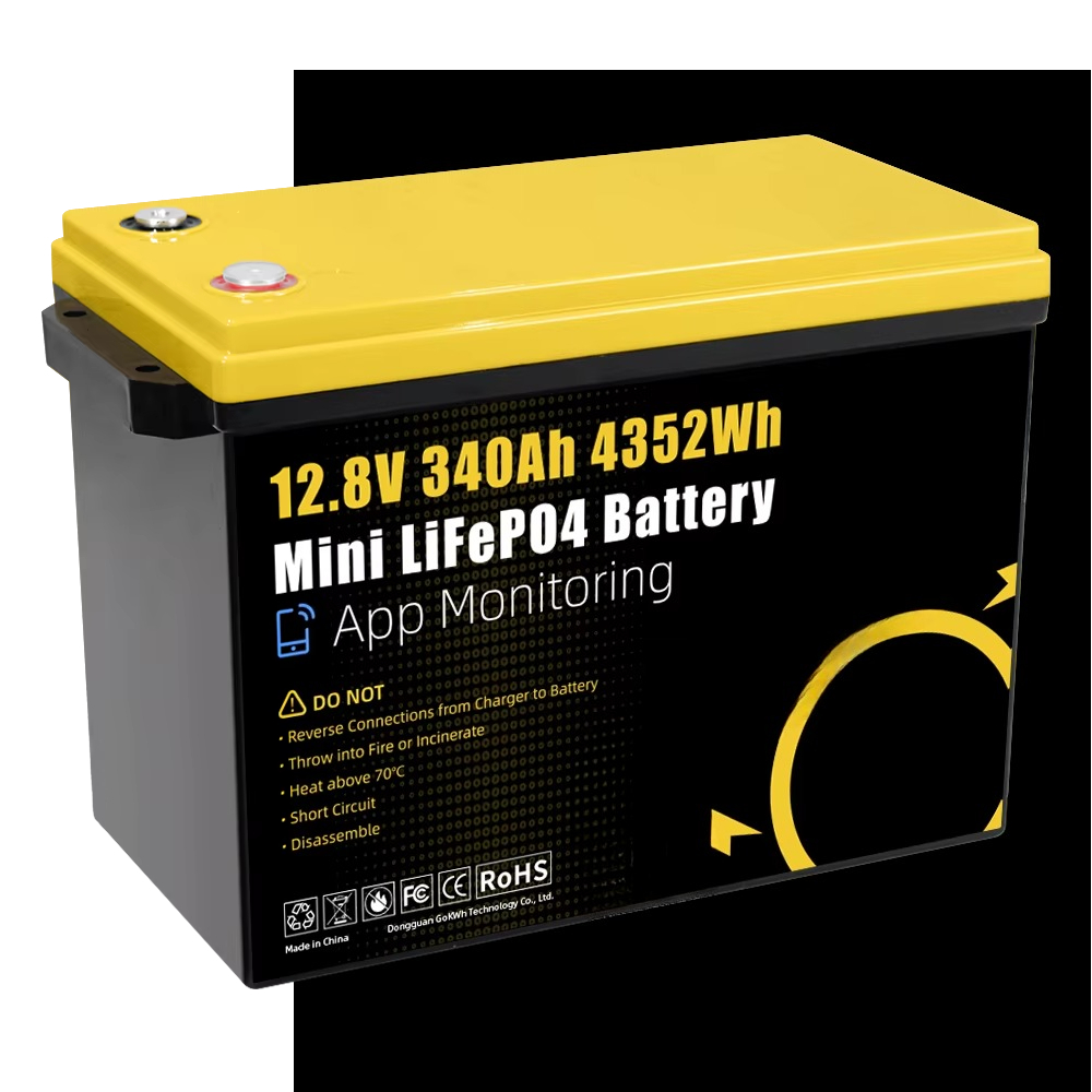 GoKWh Marine 12 V Lifepo4 Lith – Lithium Battery 100Ah Bewertung und Preis