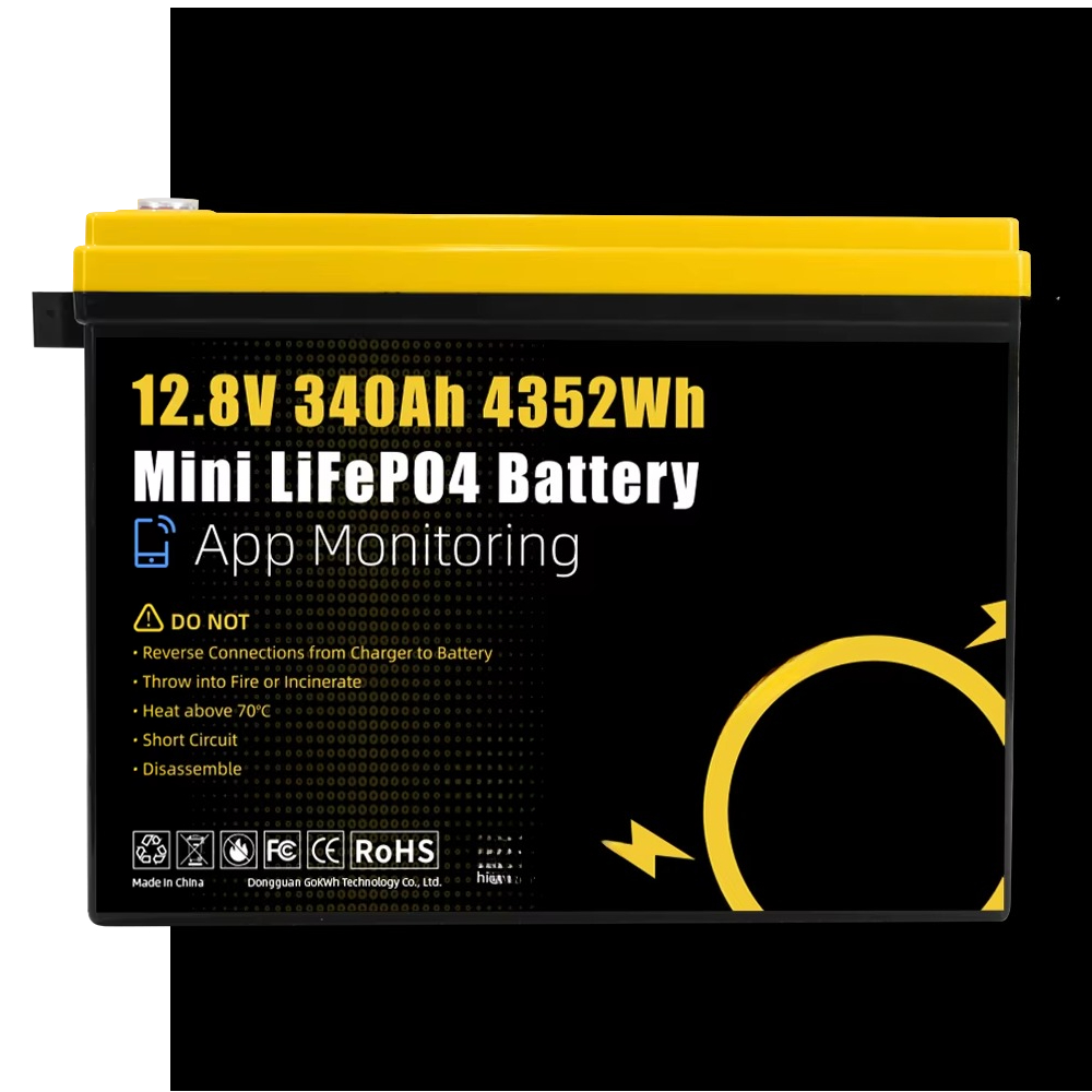 GoKWh Marine 12 V Lifepo4 Lith – Lithium Battery 100Ah Bewertung und Preis