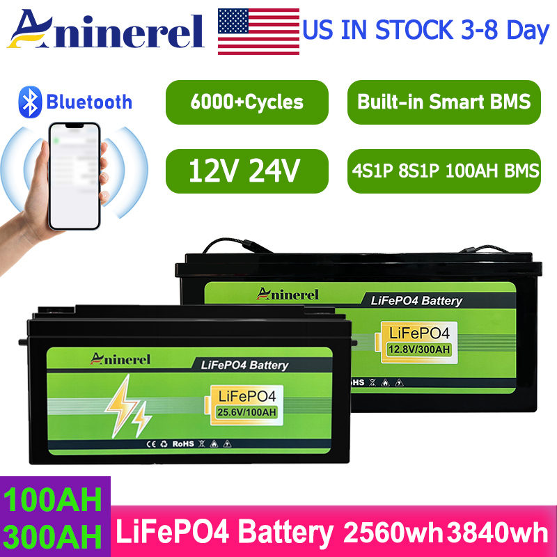 Aninerel 2560Wh 3840Wh 12V 300 – Lithium Battery 100Ah Bewertung und Preis