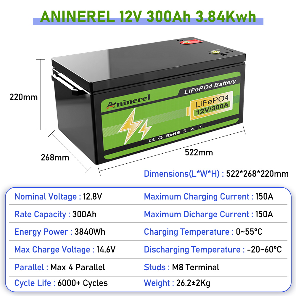 Aninerel 2560Wh 3840Wh 12V 300 – Lithium Battery 100Ah Bewertung und Preis