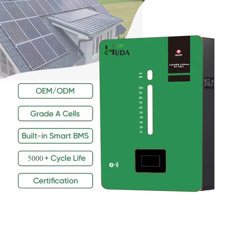 Hochleistungs 5kWh LiFePO4 Lit – Lithium Battery 100Ah Bewertung und Preis