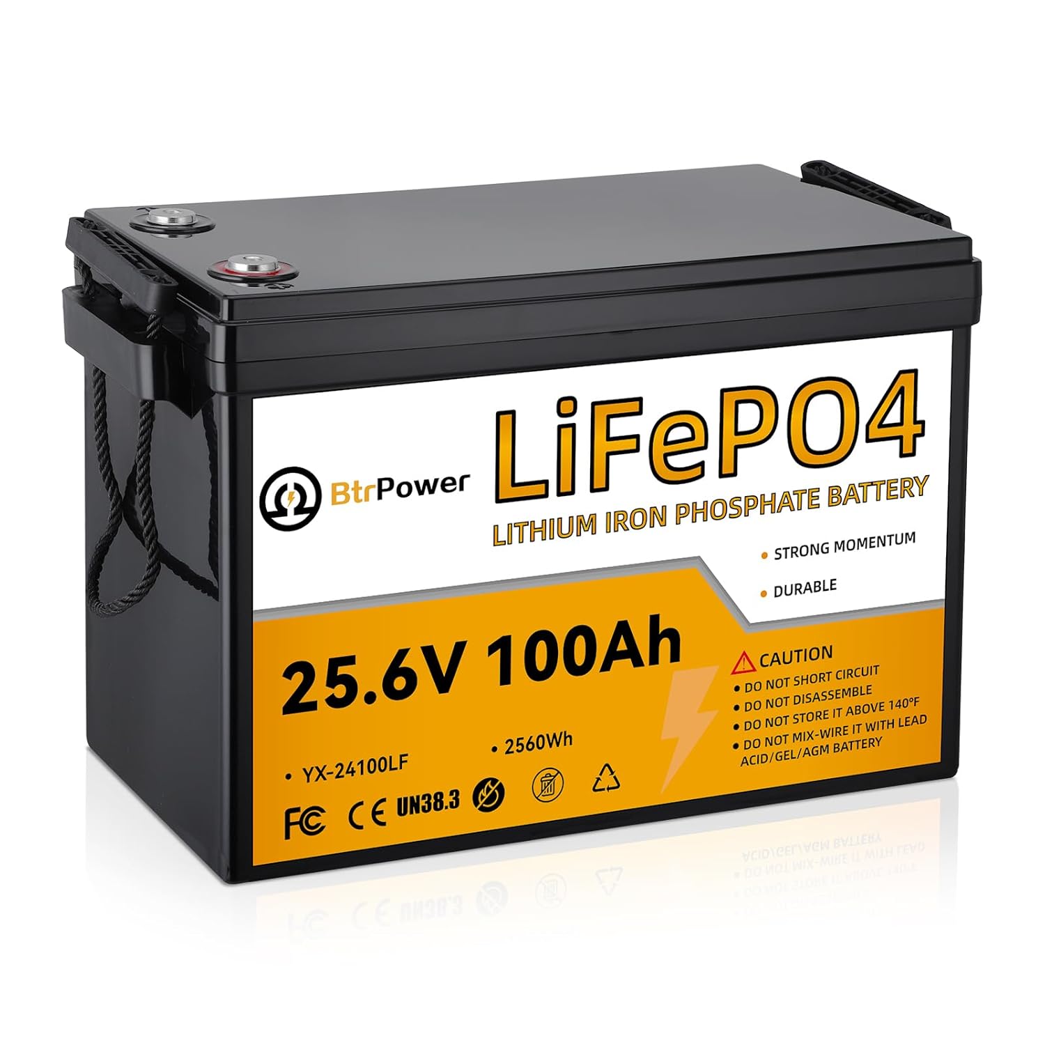 24V 100Ah Lithium LiFePO4 Batt – Lithium Battery 100Ah Bewertung und Preis